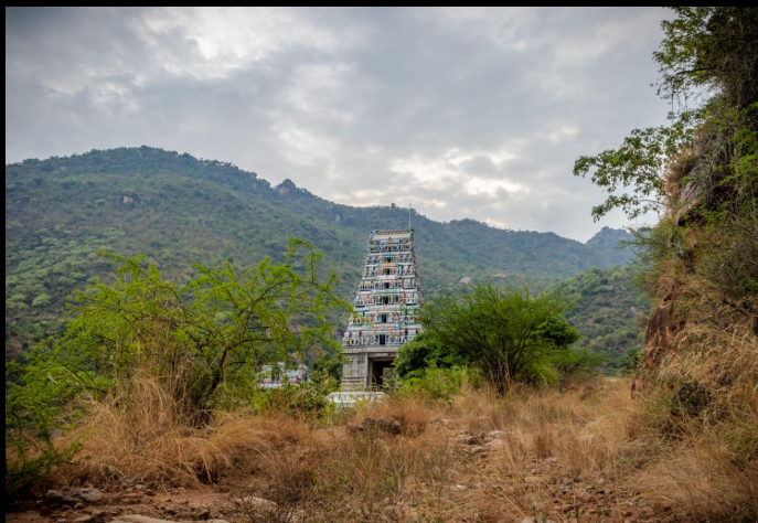 Marudhamalai Murugan