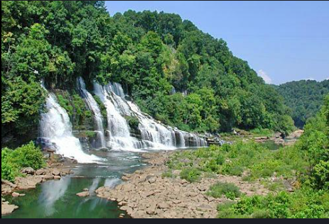 Nature